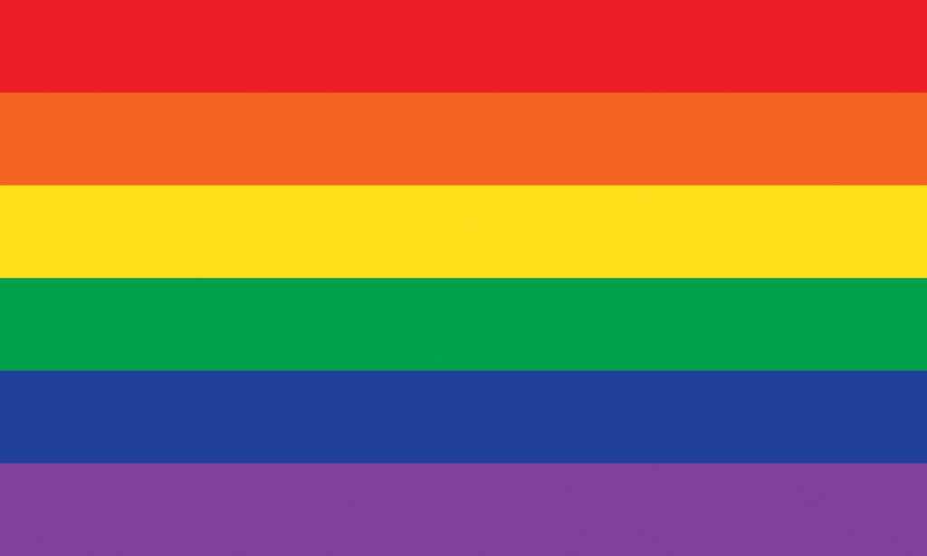 what is the gay flag