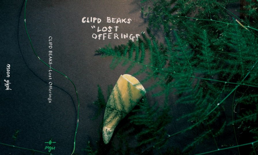 Hey! Look! Clipd Beaks have a new album out on Moon Glyph!