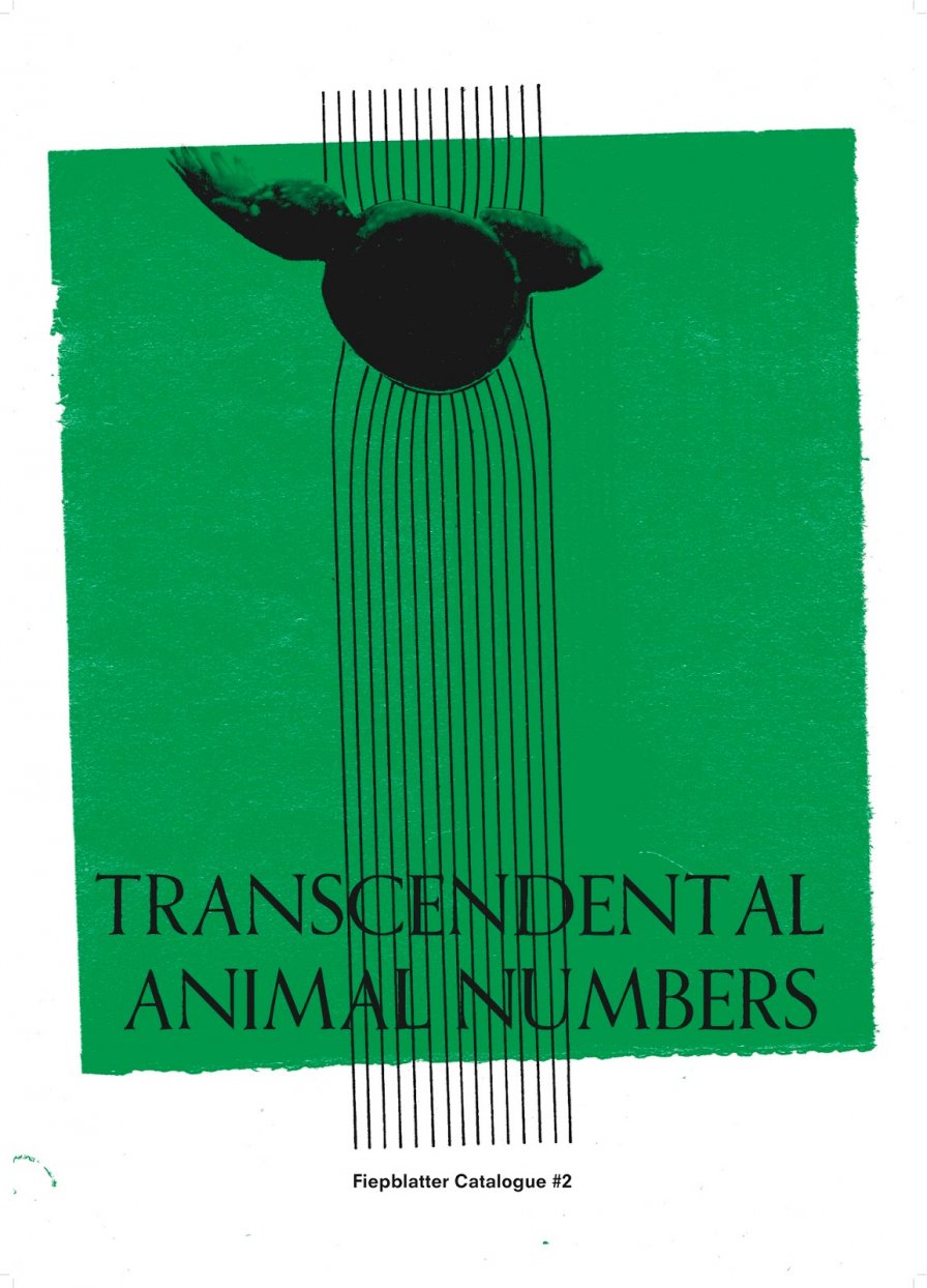 Thrill Jockey brings the future of the past to the present today with first-ever cassette-only release, Jan St. Werner's Transcendental Animal Numbers