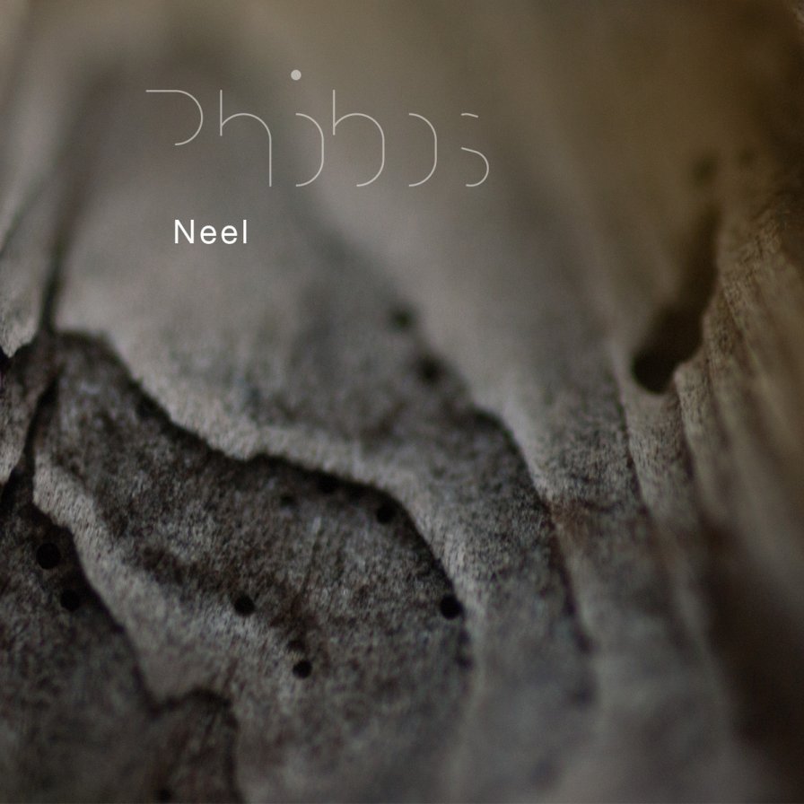 Neel (Voices from the Lake) listens to Martian whispers instead, announces debut solo LP Phobos on Spectrum Spools