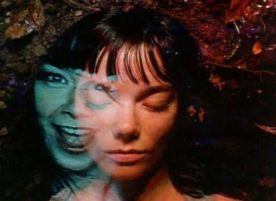 Björk bows out of Primavera fests on doctor's orders